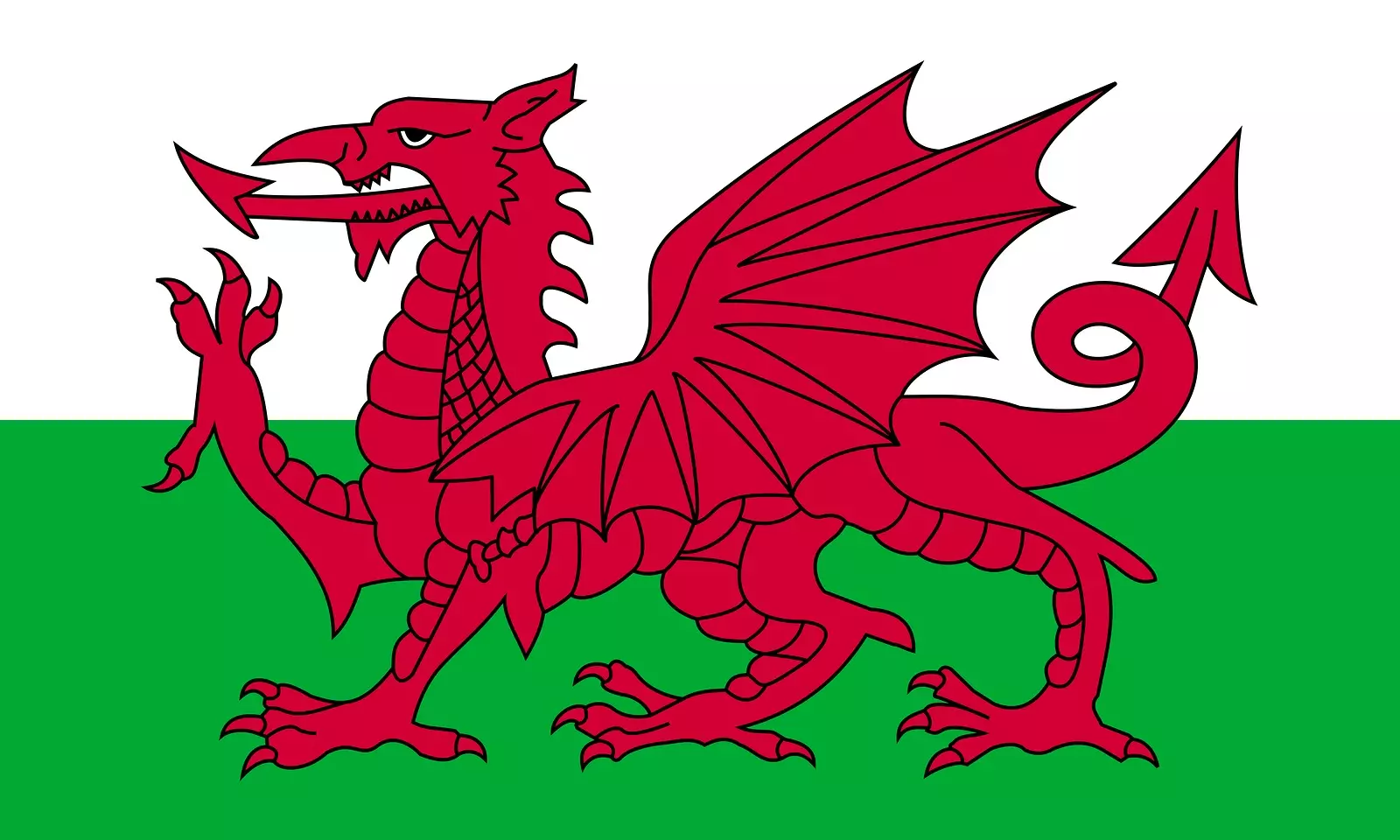 Wales Domain Name Launch