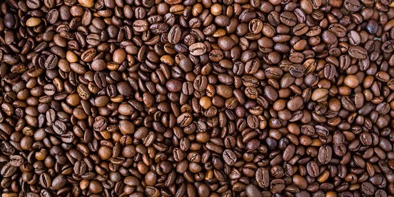 New extensions available this week CAFE EXPRESS New extensions available this week CAFE EXPRESS